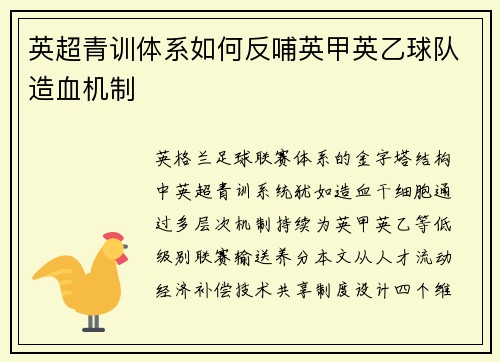 英超青训体系如何反哺英甲英乙球队造血机制